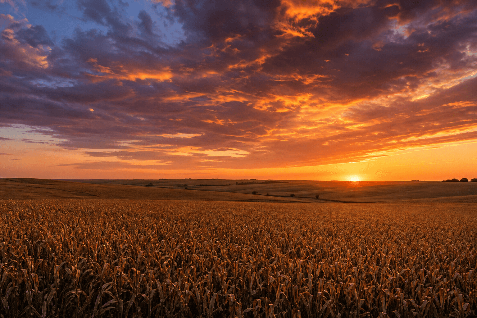 Iowa landscape — respectful healthcare imagery
