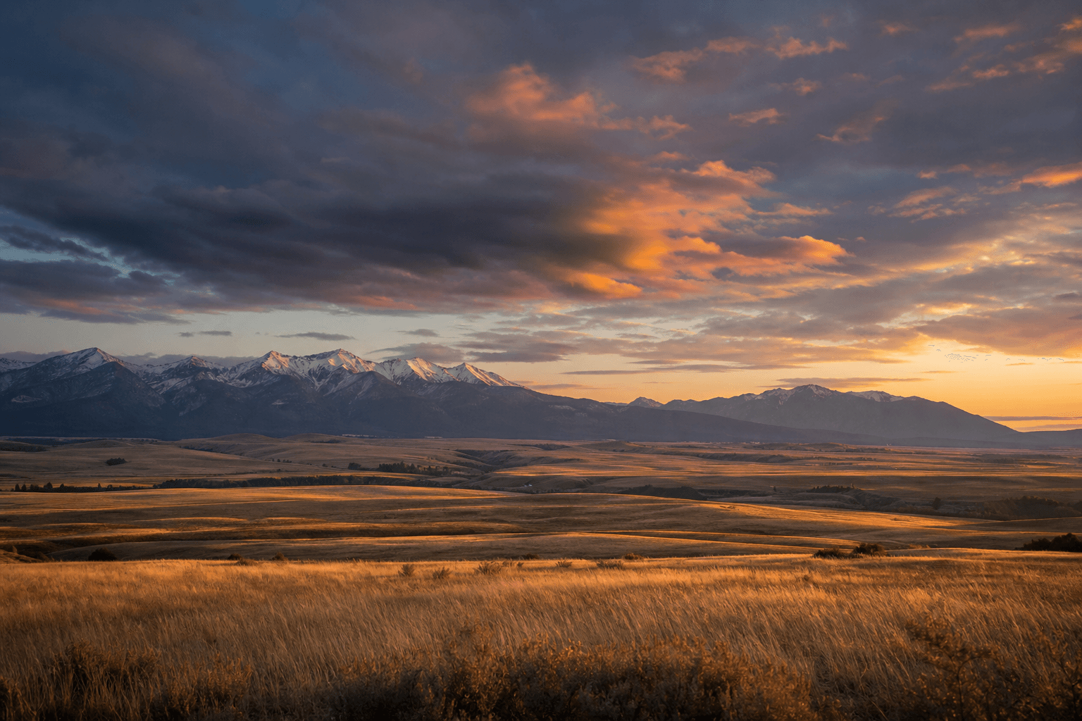Montana Big Sky country at sunset with golden prairie grasslands and snow-capped Rocky Mountains