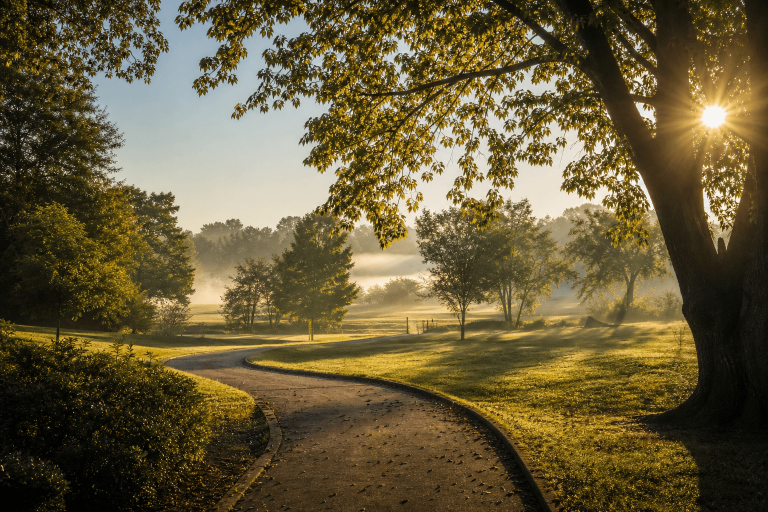 Hope and recovery — Georgia